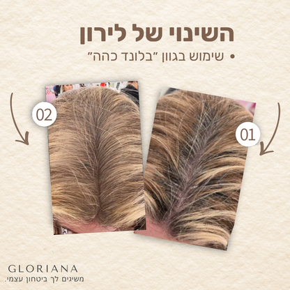 אבקת הקסם BOLDI לכיסוי שורשי השיער